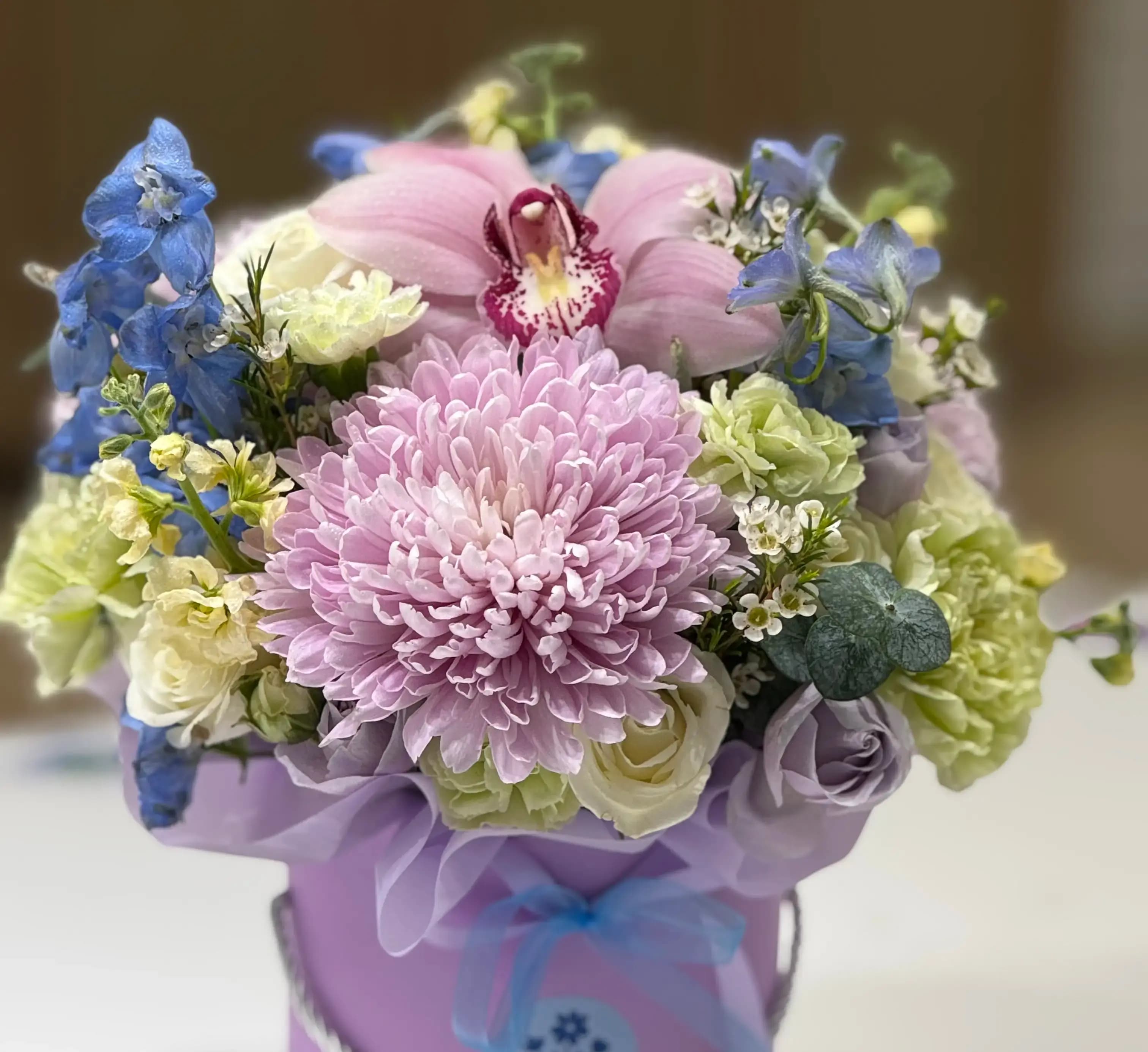 Pastel Harmony Bloom